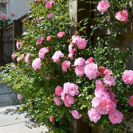 Вилла Sweet Briar - 8234 Бридпорт Экстерьер фото